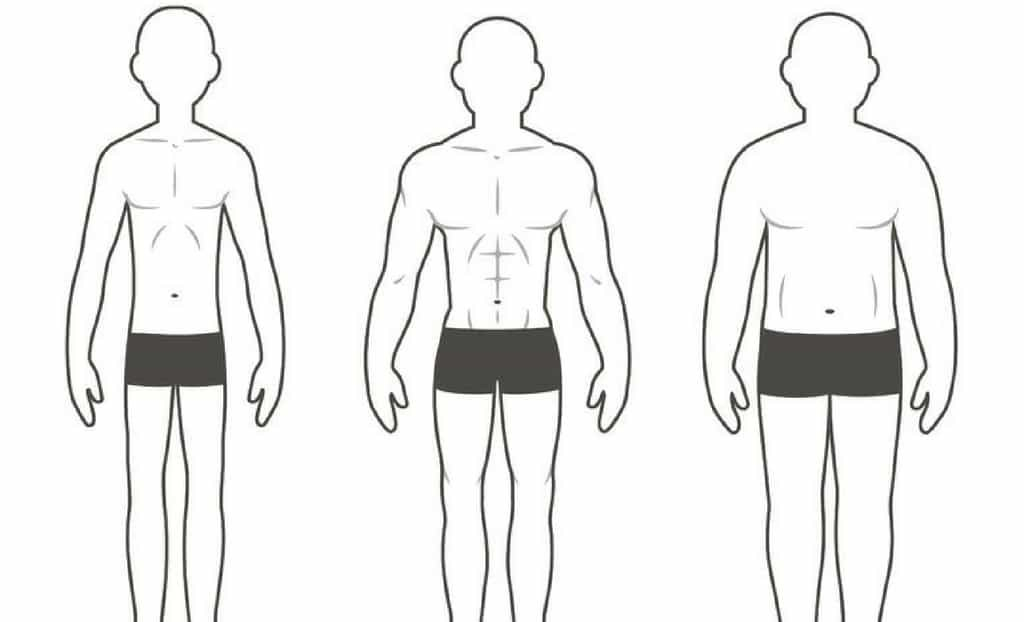 Read more about the article Trys kūno somatotipai ir kaip juos treniruoti